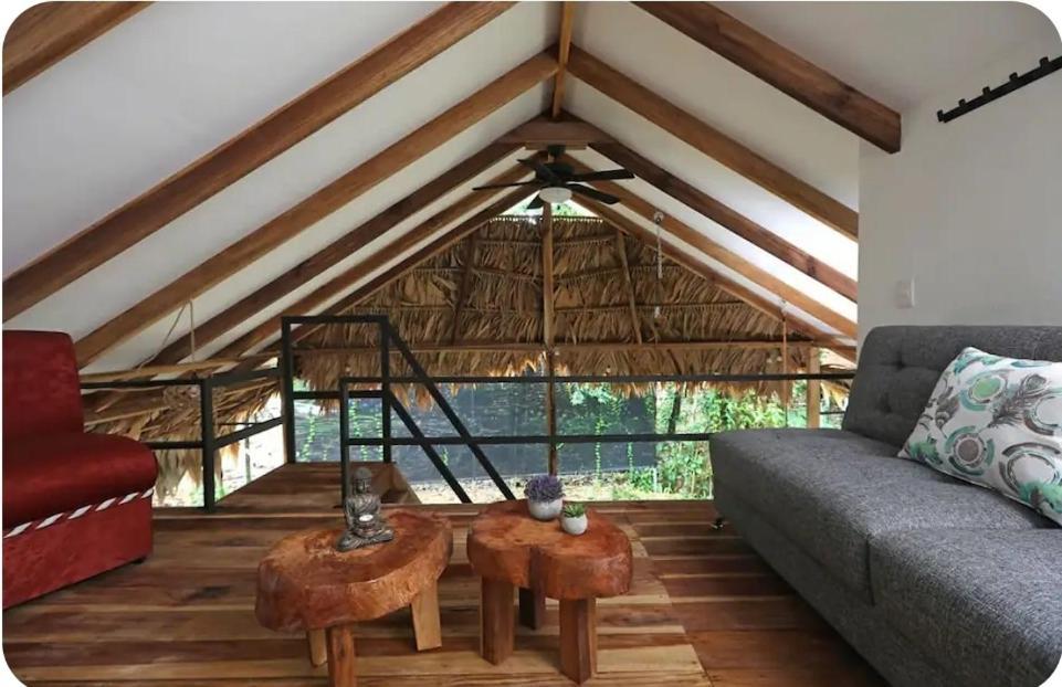 Hone CreekEvolution House Jungle Oasis别墅 外观 照片