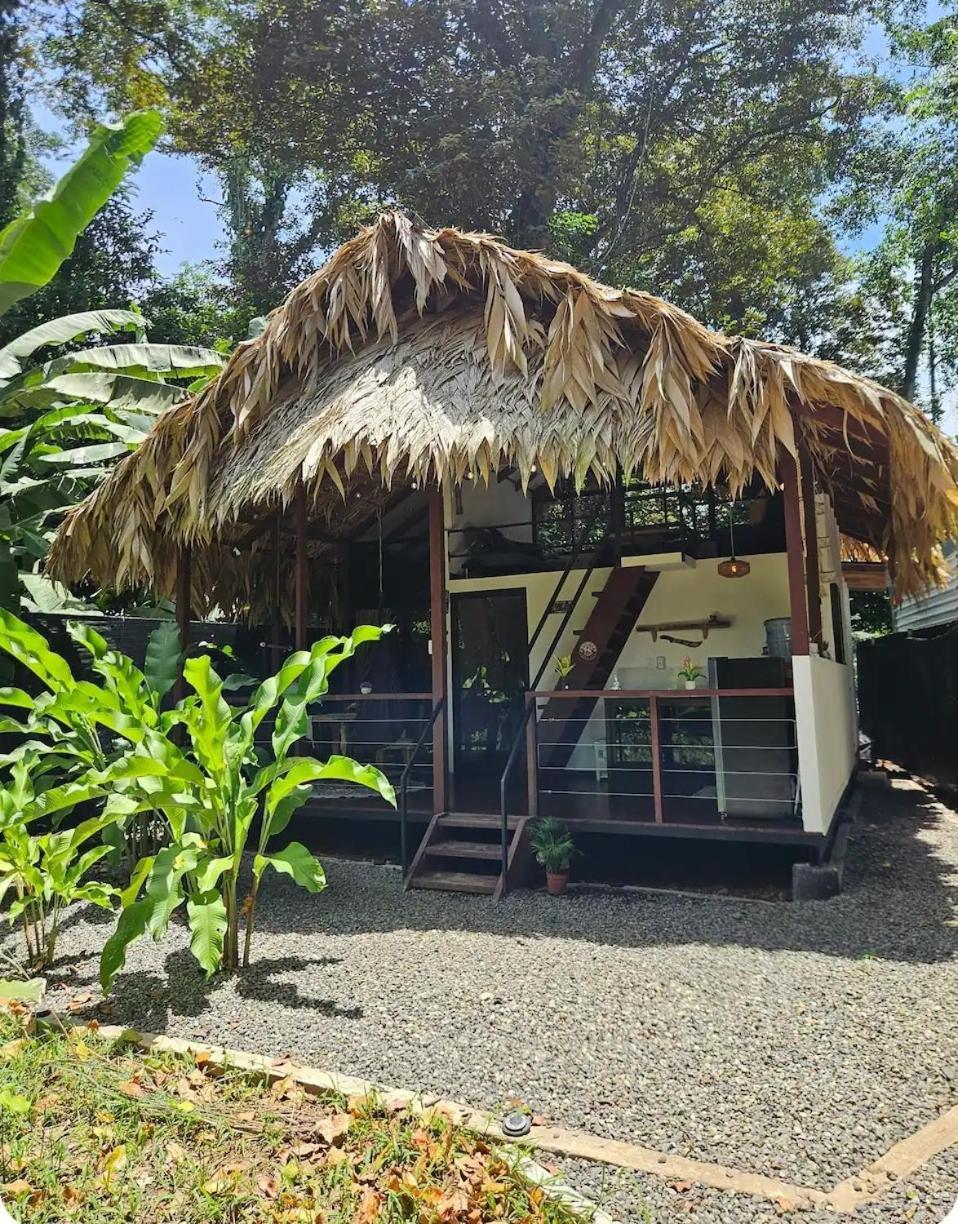 Hone CreekEvolution House Jungle Oasis别墅 外观 照片