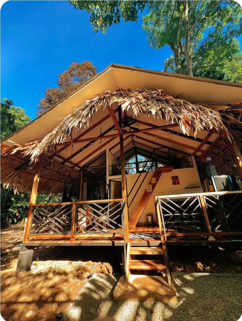 Hone CreekEvolution House Jungle Oasis别墅 外观 照片