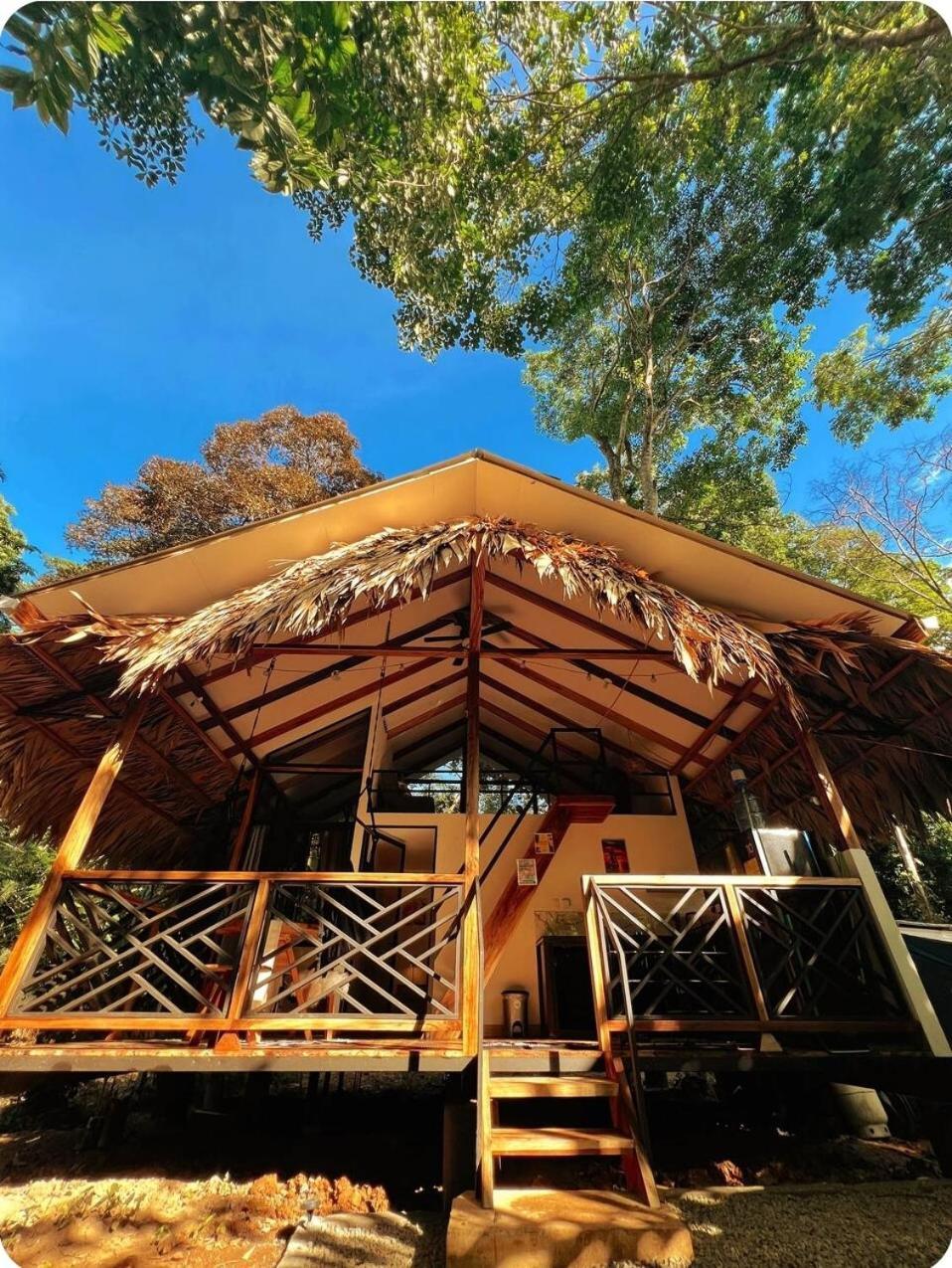 Hone CreekEvolution House Jungle Oasis别墅 外观 照片