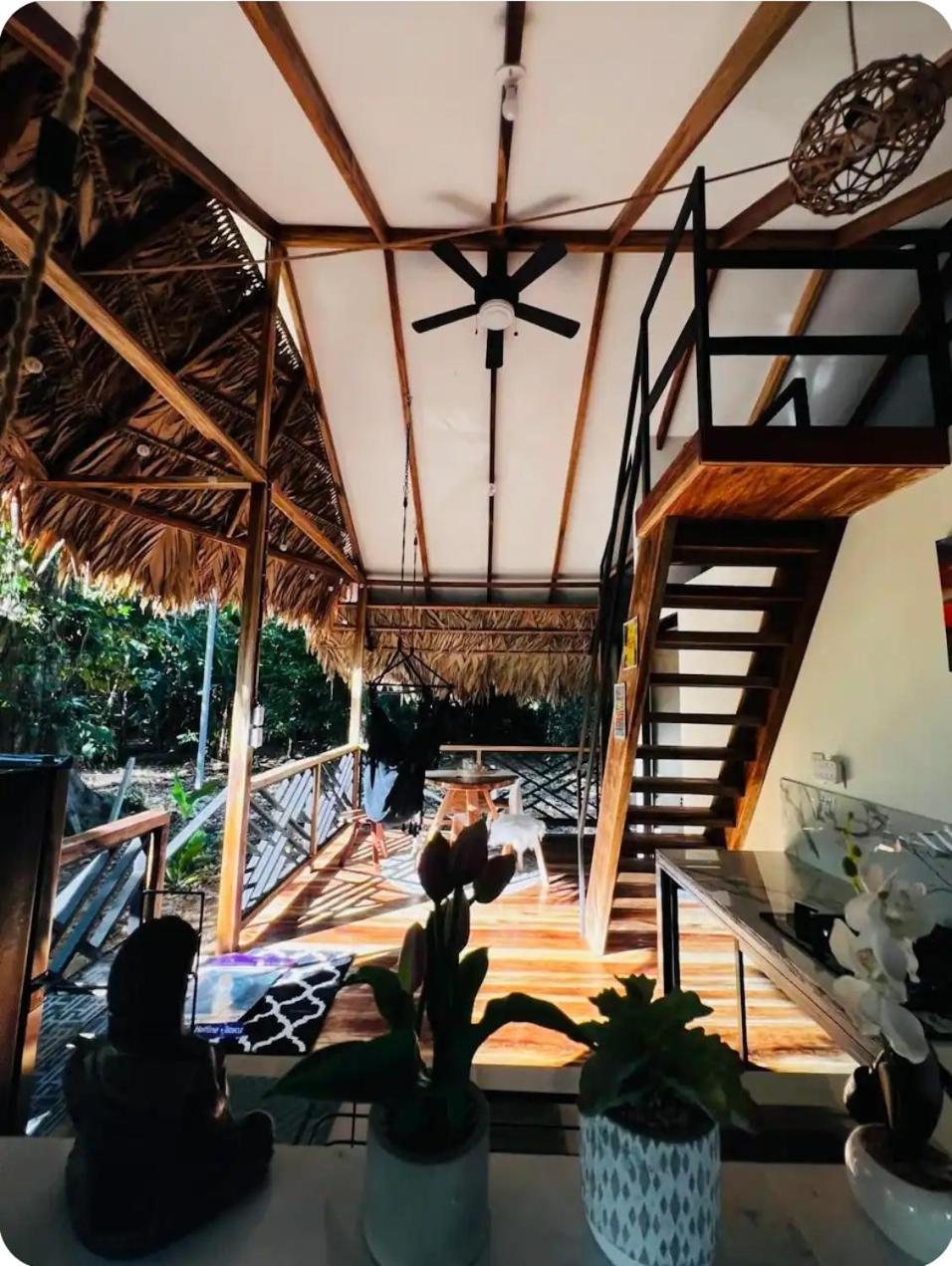 Hone CreekEvolution House Jungle Oasis别墅 外观 照片